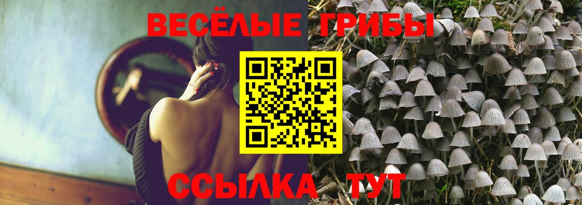 продажа наркотиков  Вход с VPN  Арсеньев  Псилоцибиновые грибы Psilocybe  Галлюциногенные грибы Psilocybe 